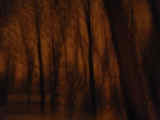 A happy accident with a new camera; kind of reminds me of "The Scream".